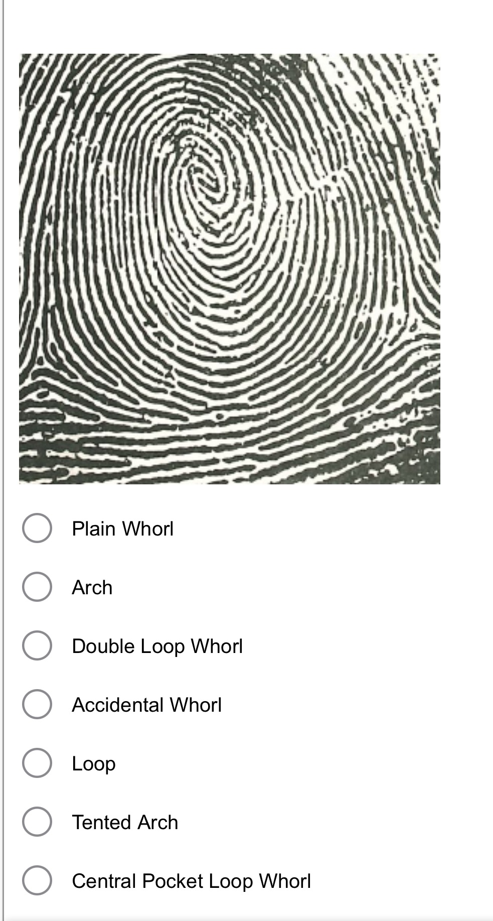O Plain Whorl O Arch O Double Loop Whorl O
