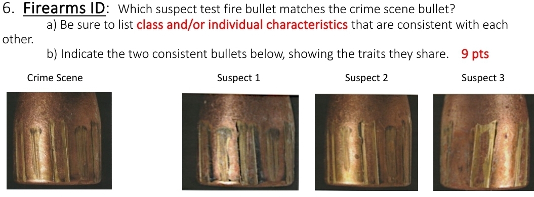 Examine and answer questions 6. Firearms ID: