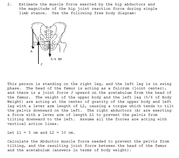 2. Estimate the muscle force exerted by the hip