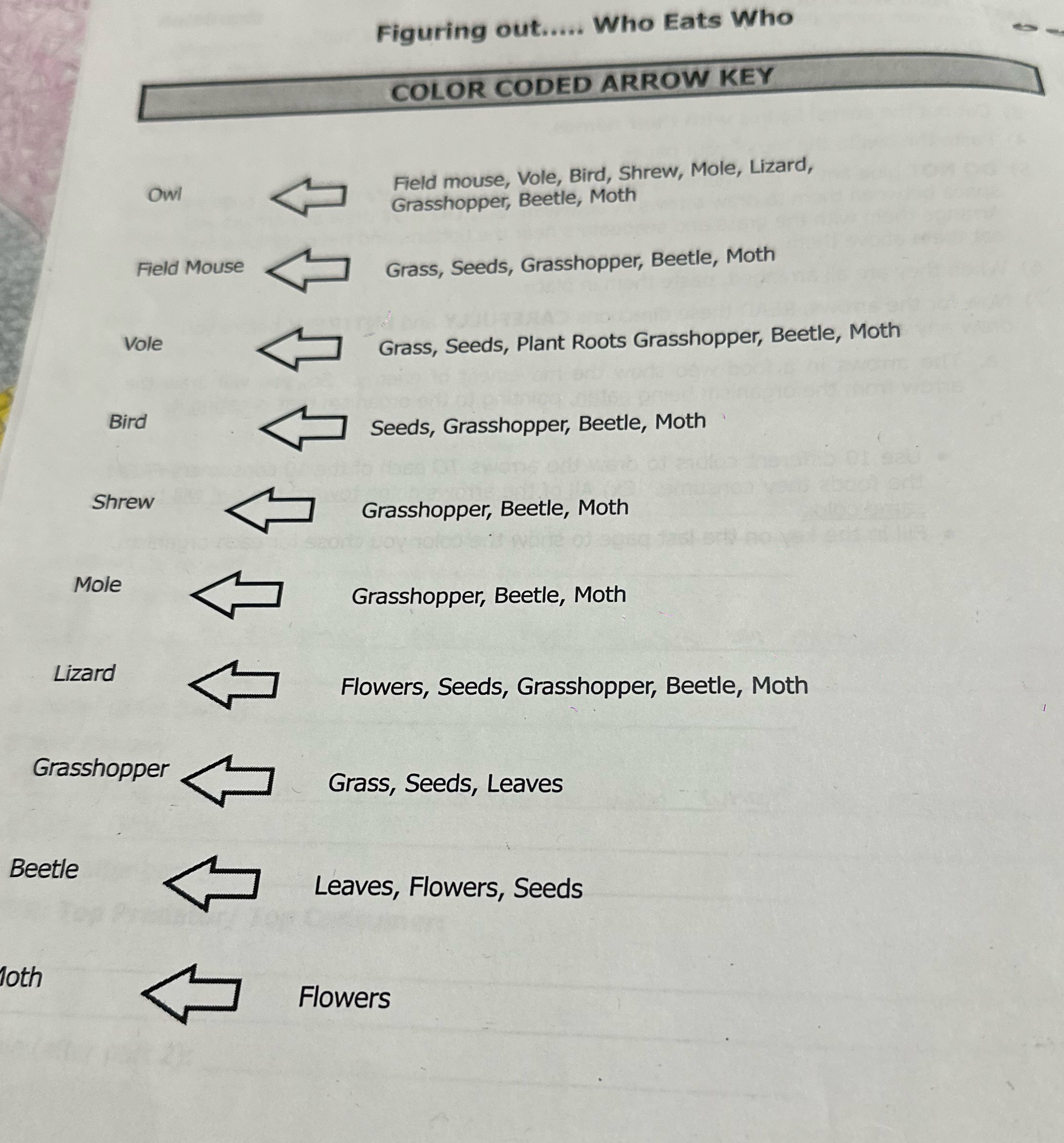 Can you color code them? Figuring out..... Who