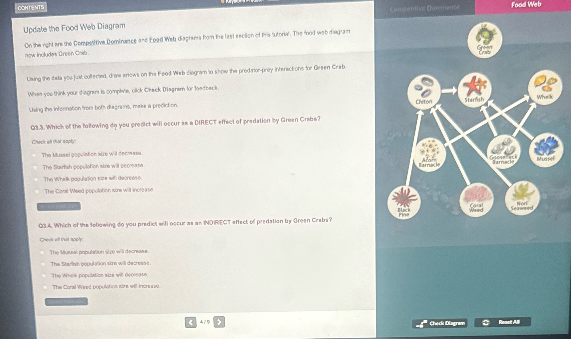 Update the Food Web Diagram On the right are the