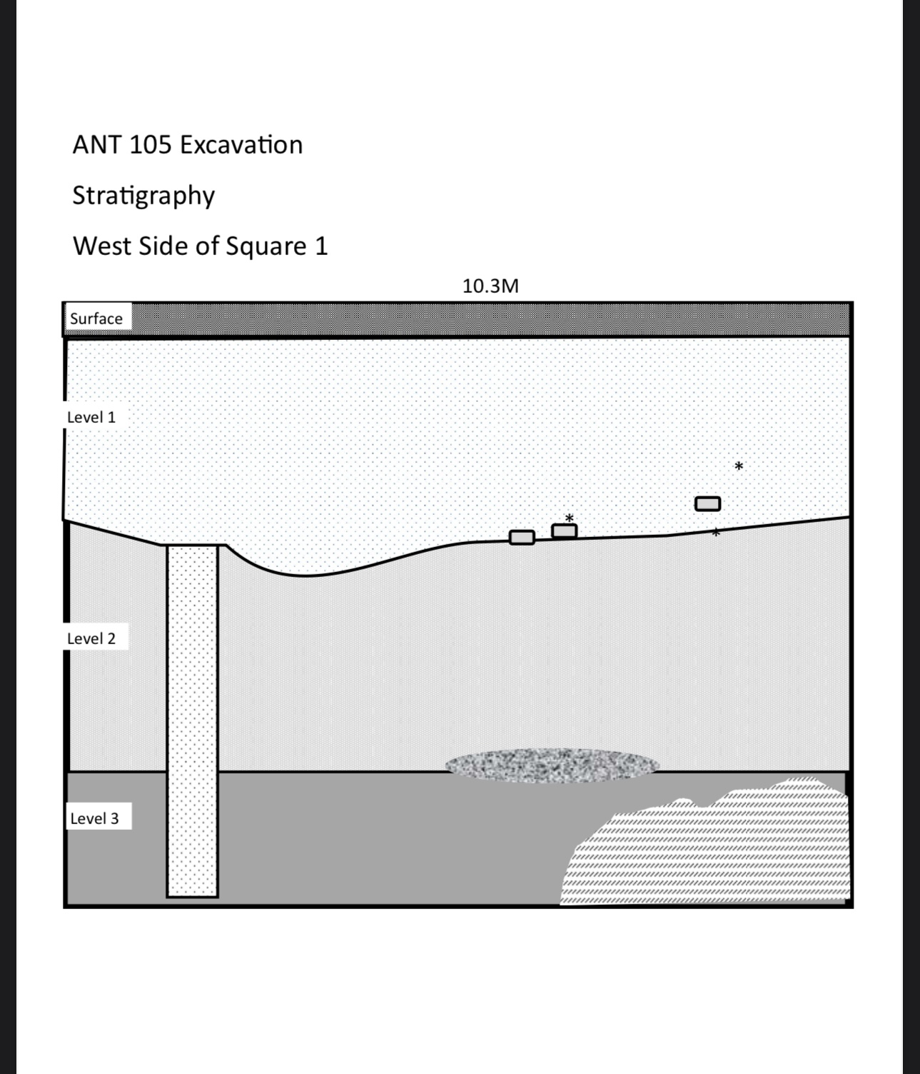 ANT 105 Excavation Stratigraphy West Side of