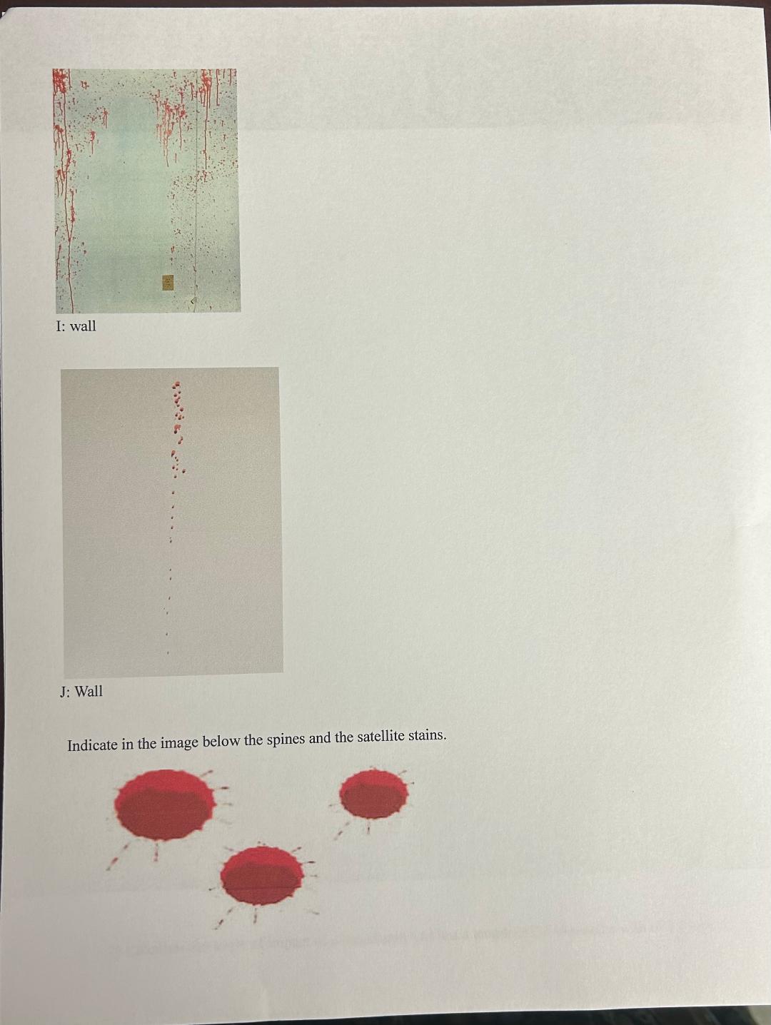 Identify the angle of impact of the blood stains