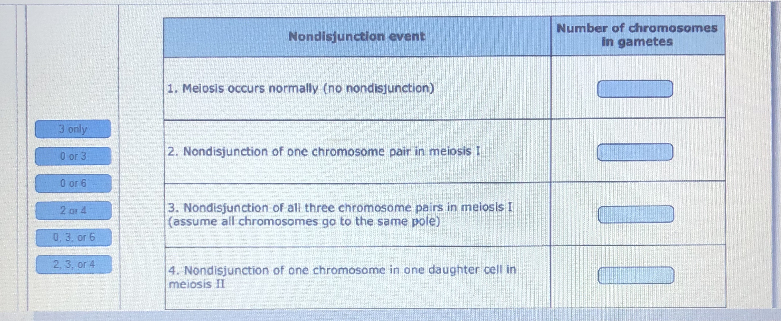 Drag one labor into each space at the right of