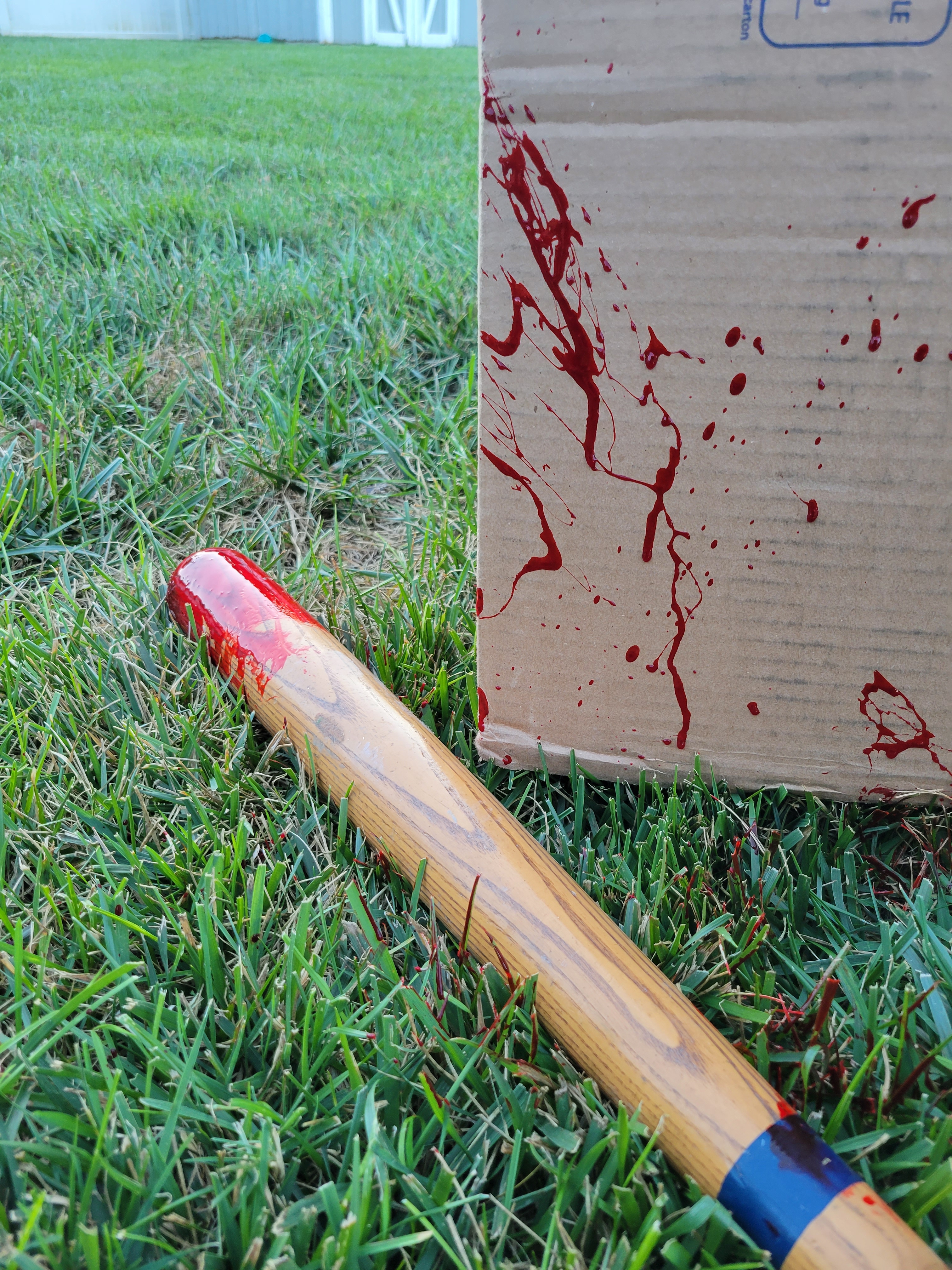 Q1 A victim is stabbed four times with a butcher