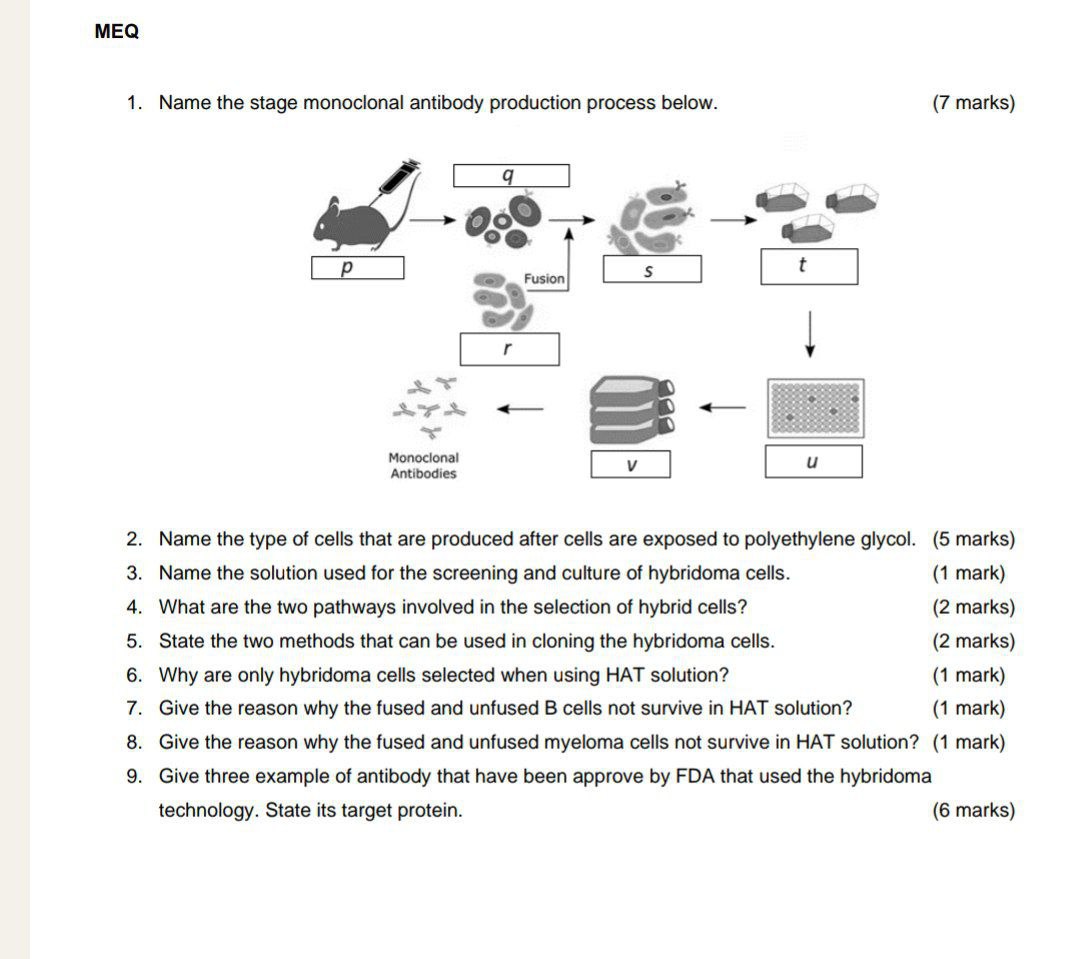 Pharmaceutical biotechnology MEQ 1. Name the