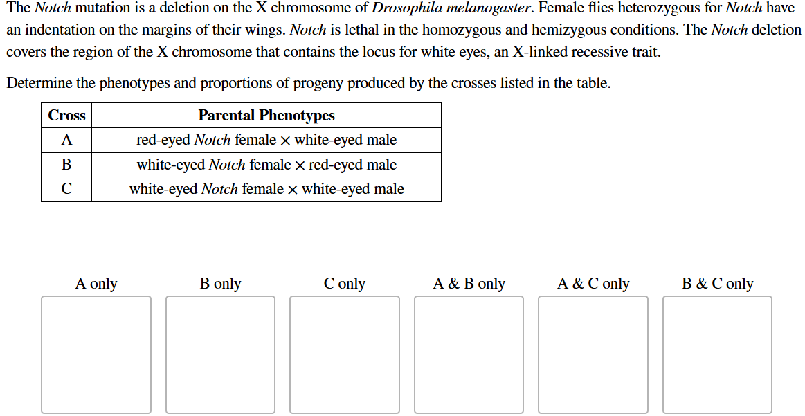 solve it ? The Notch mutation is a deletion on