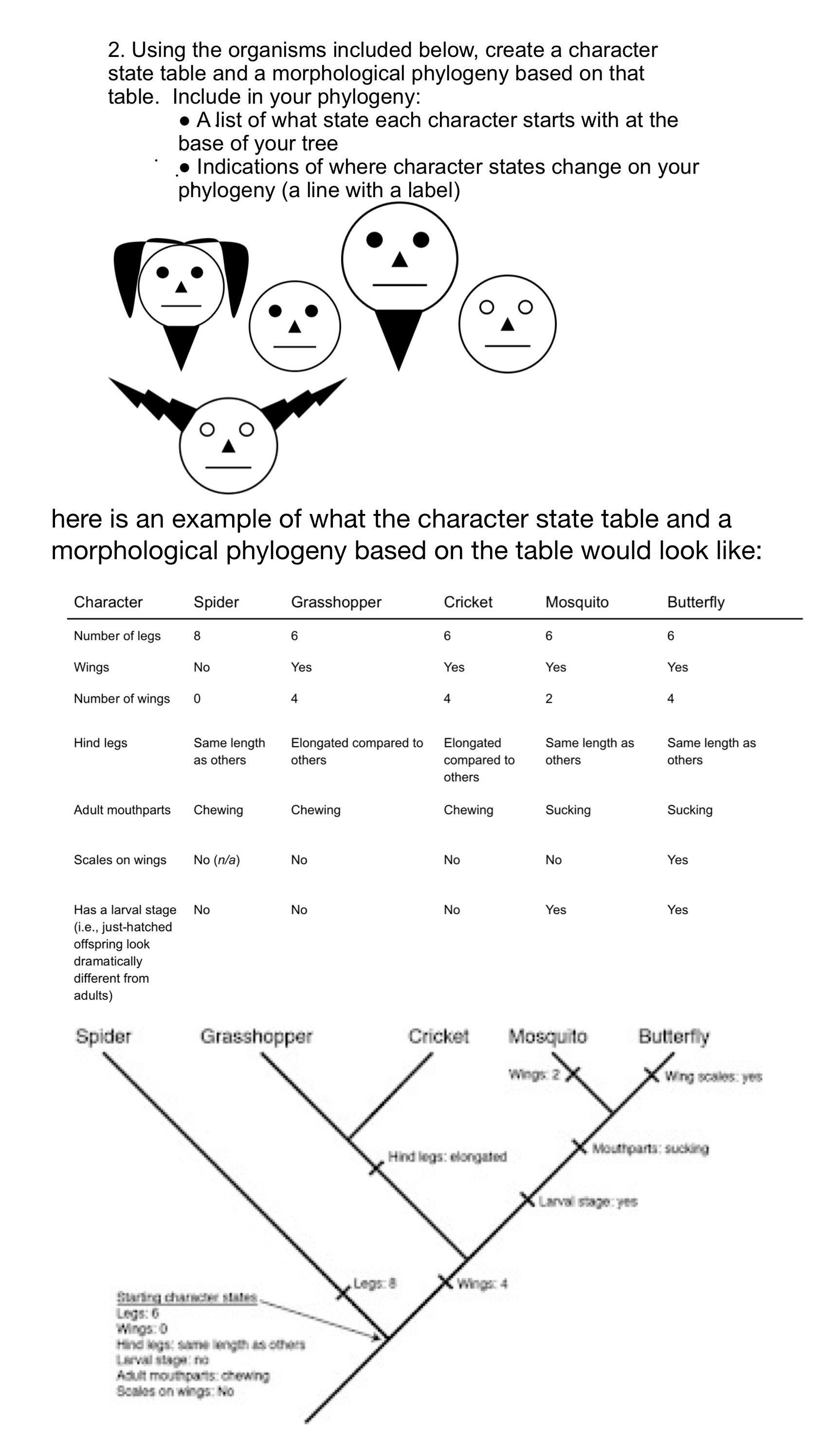 2. Using the organisms included below, create a