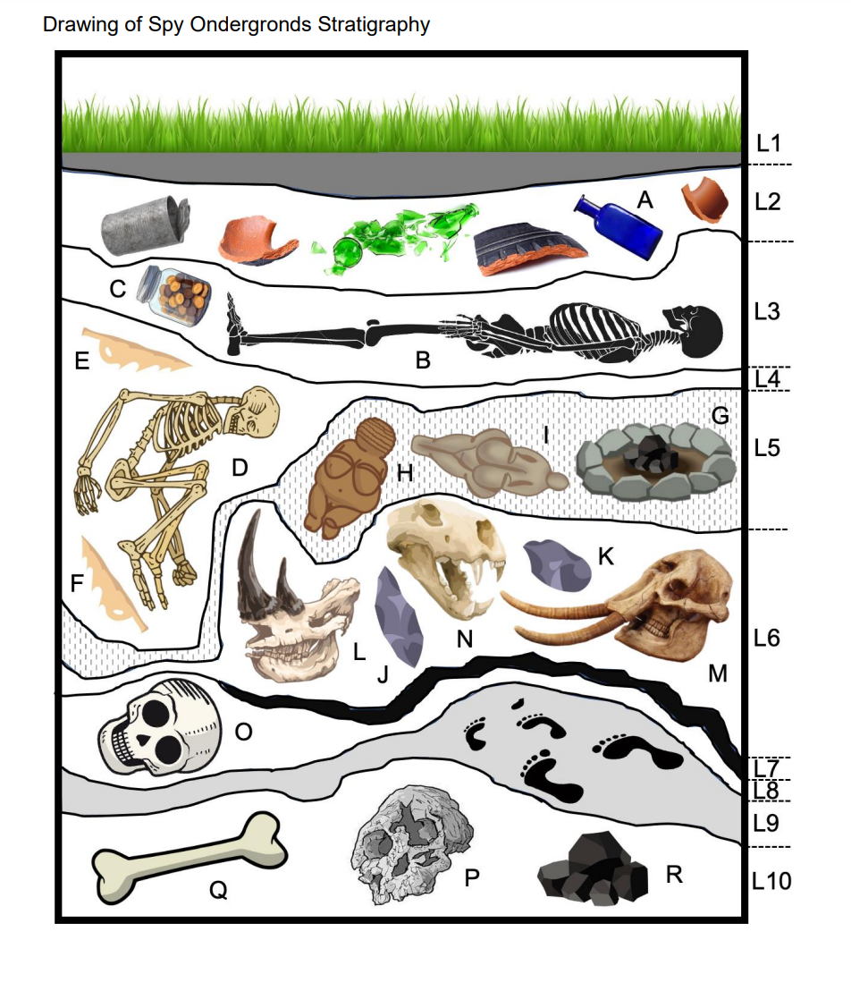 \fDescriptions of Strata Layer 1 This is the