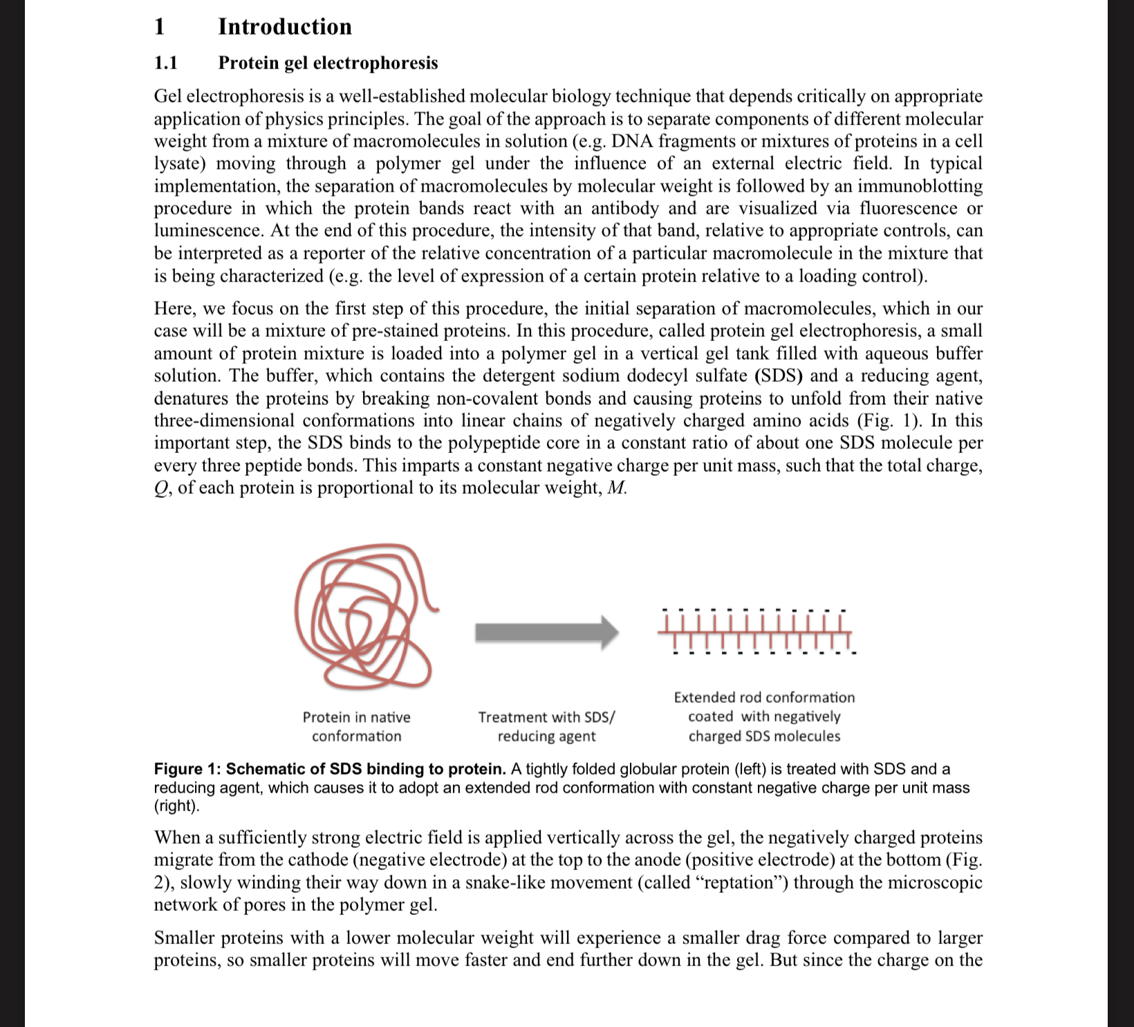 CALCULATIONS 2. +/- R2 = Vterm,BSA +/- R2 =
