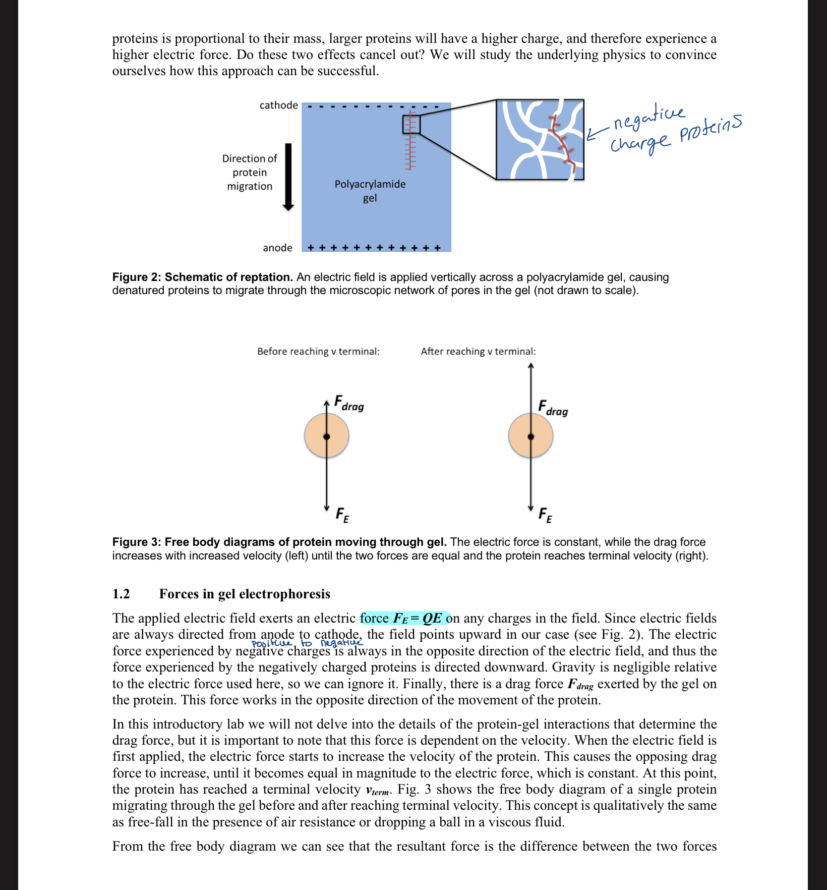 CALCULATIONS 2. +/- R2 = Vterm,BSA +/- R2 =