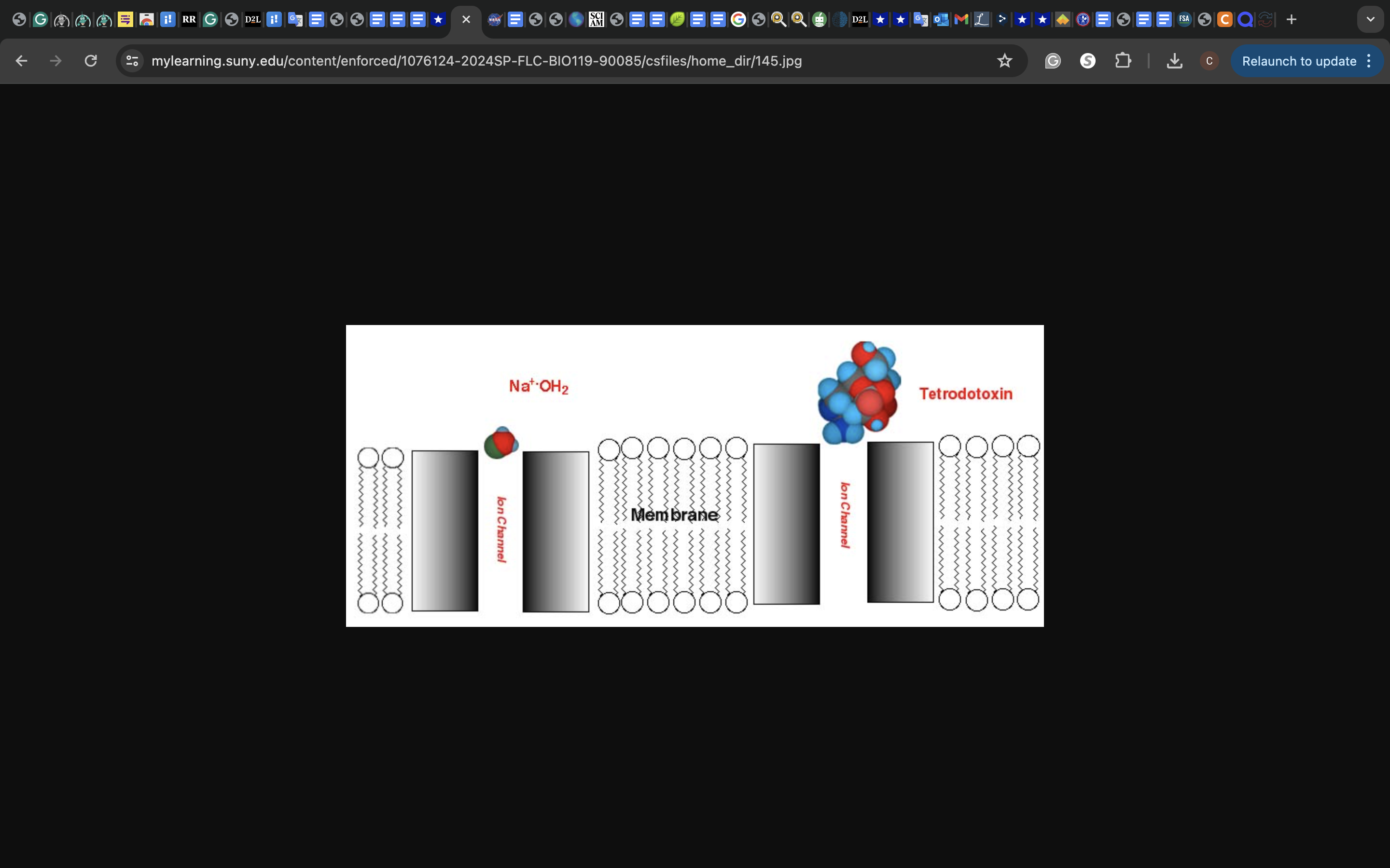 become a small pharmaceutical company that is