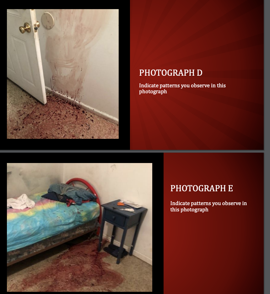 PHOTOGRAPH D Indicate patterns you observe in