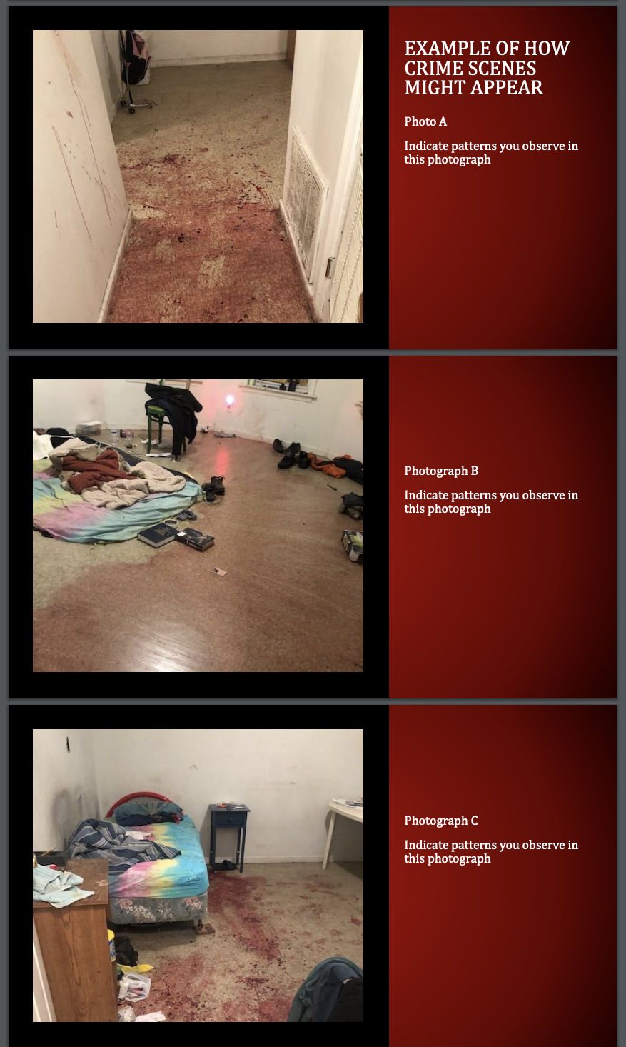 PHOTOGRAPH D Indicate patterns you observe in