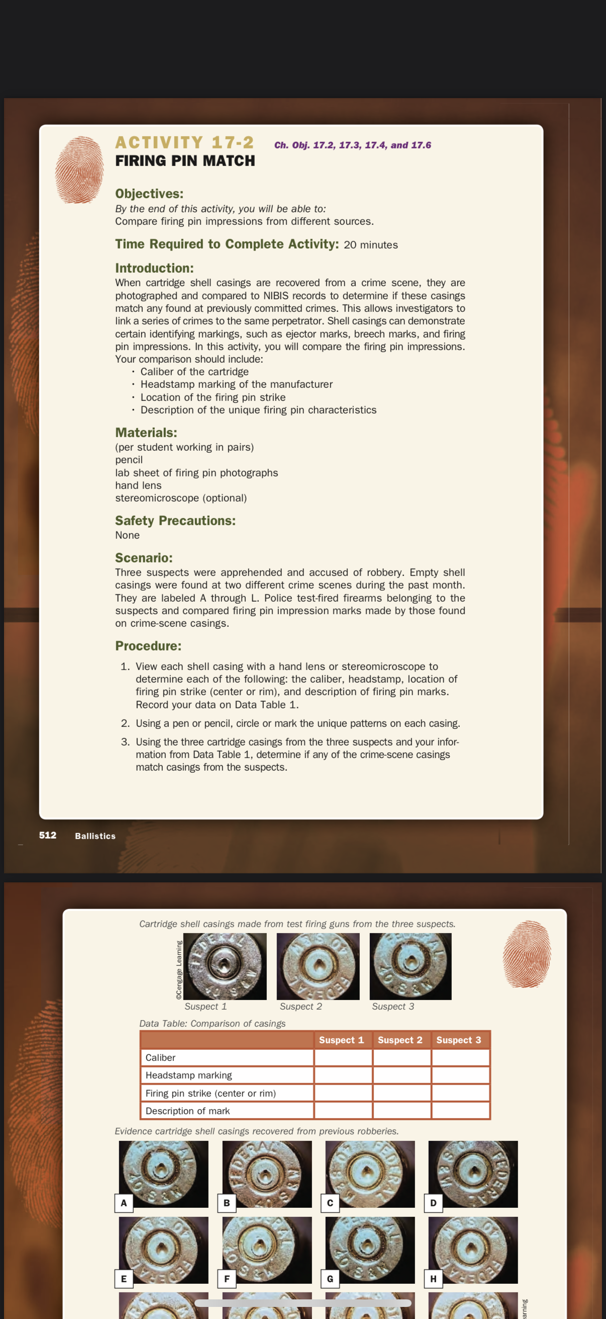 Ch. Obj. 17.2, 17.3, 17.4, and 17.6 FIRING PIN