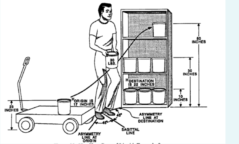 Handling Cans Job Description A worker unloads