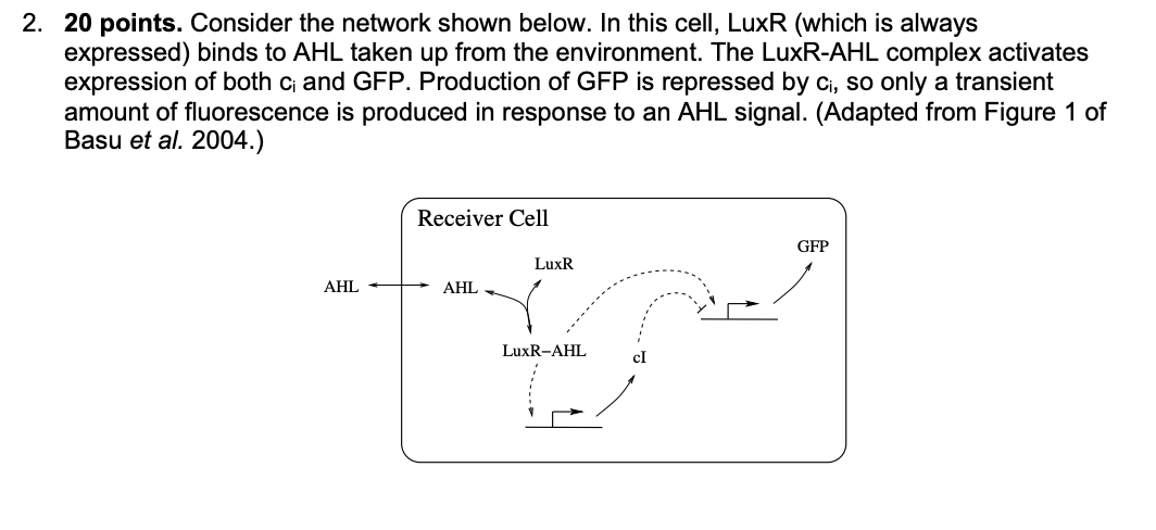 2. 20 points. Consider the network shown below.
