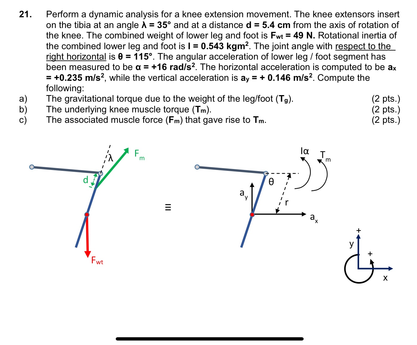 21. Perform a dynamic analysis for a knee