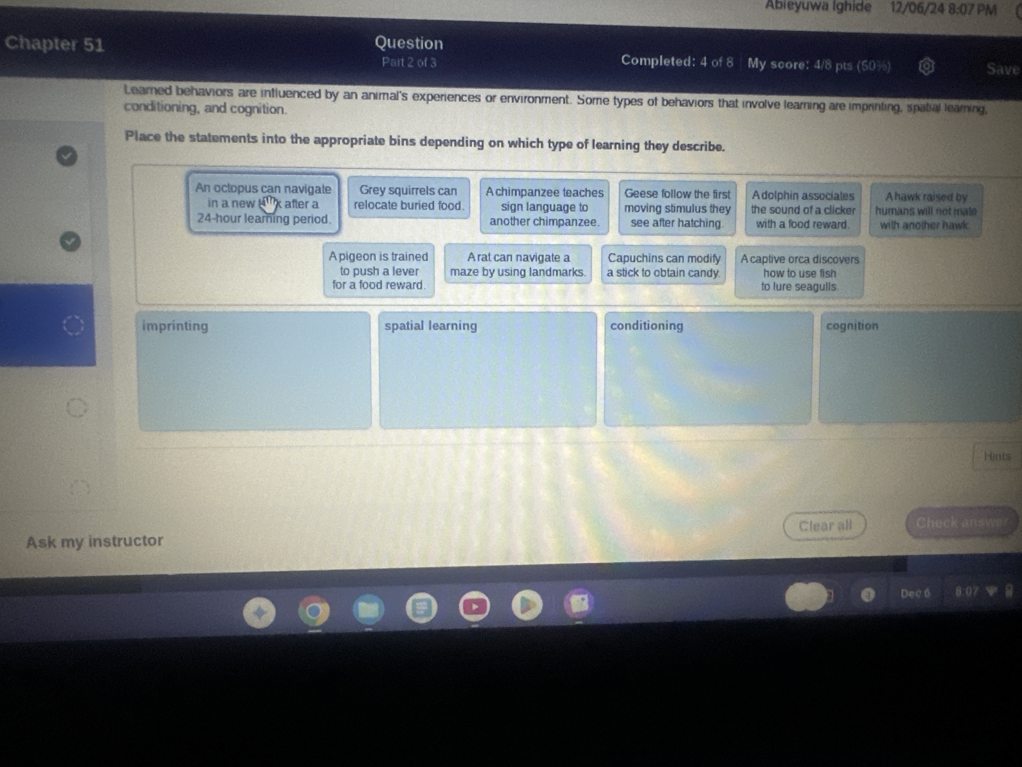 Place the statement into the correct bins