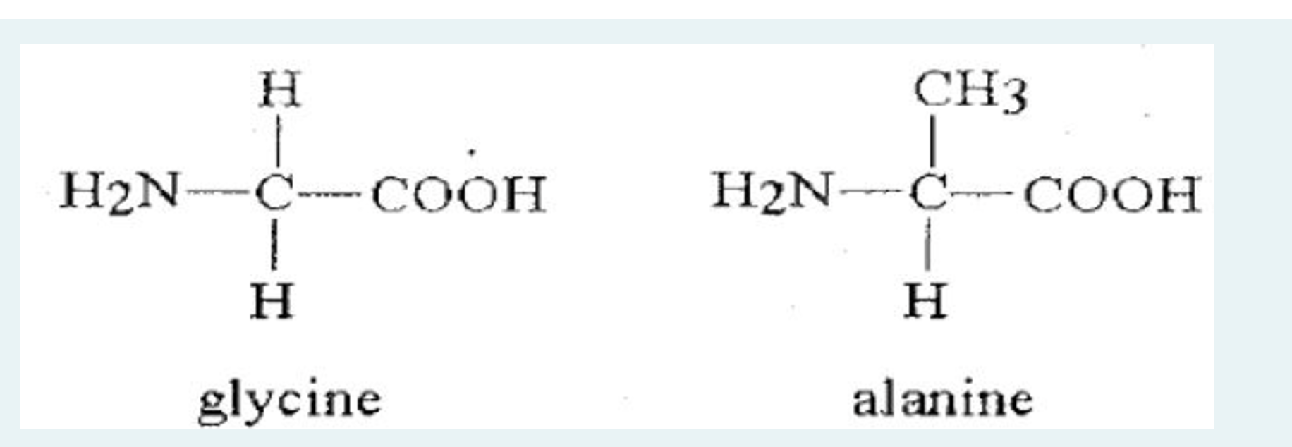 Draw the structure of a dipeptide when the two
