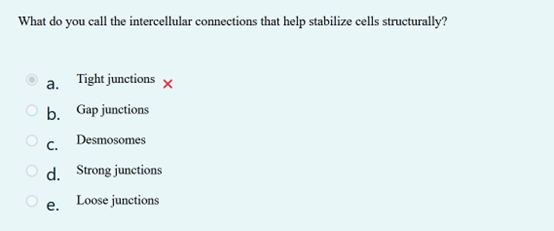 CHECK What do you call the intercellular