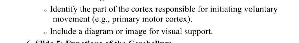 . Explain the role of dopamine in neuronal