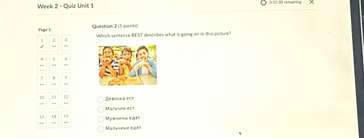 Week 2 - Quiz Unit 1 0:55:30 remaining Page 1: