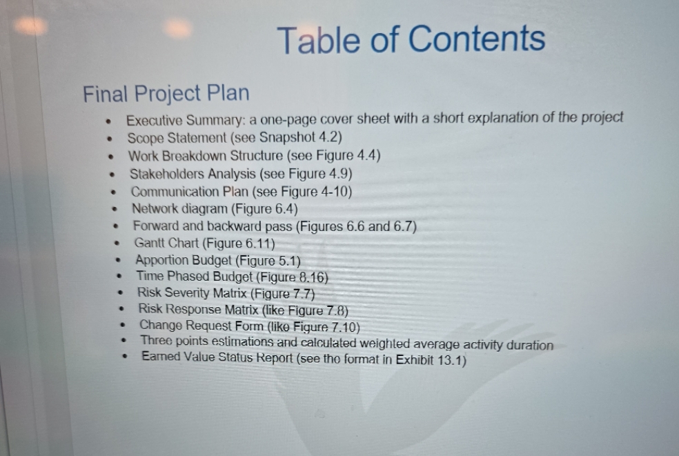 Table of Contents Final Project Plan Executive