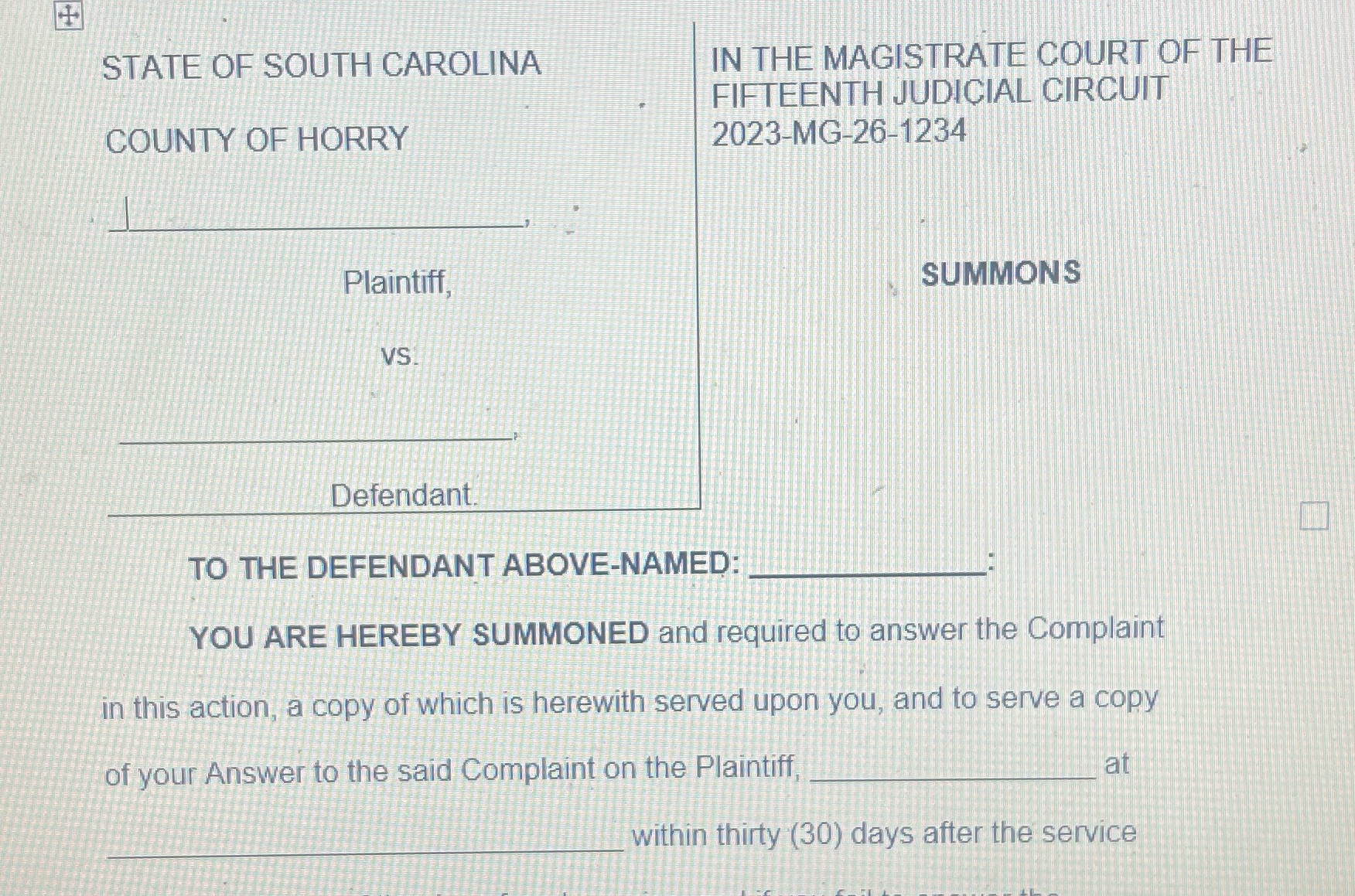 STATE OF SOUTH CAROLINA IN THE MAGISTRATE COURT