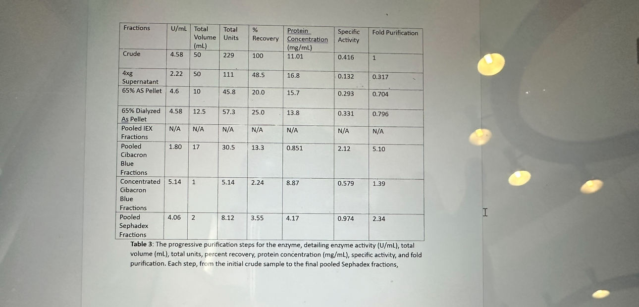 Can someone please help me with some captions for