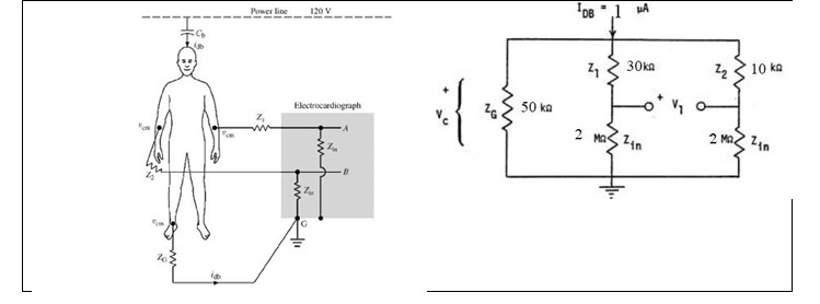 A student wants to measure ECG on an oscilloscope