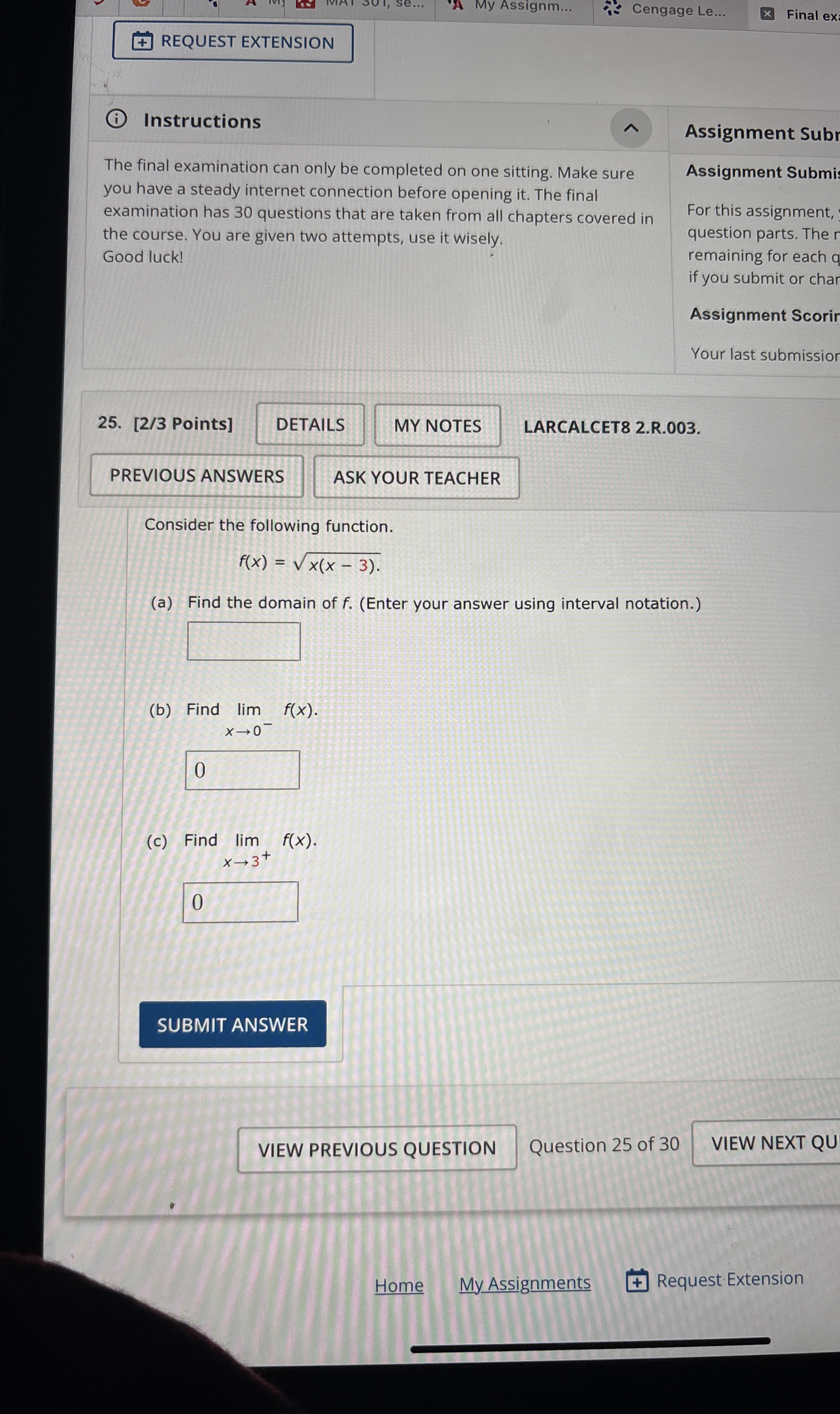 REQUEST EXTENSION ( i ) Instructions The final