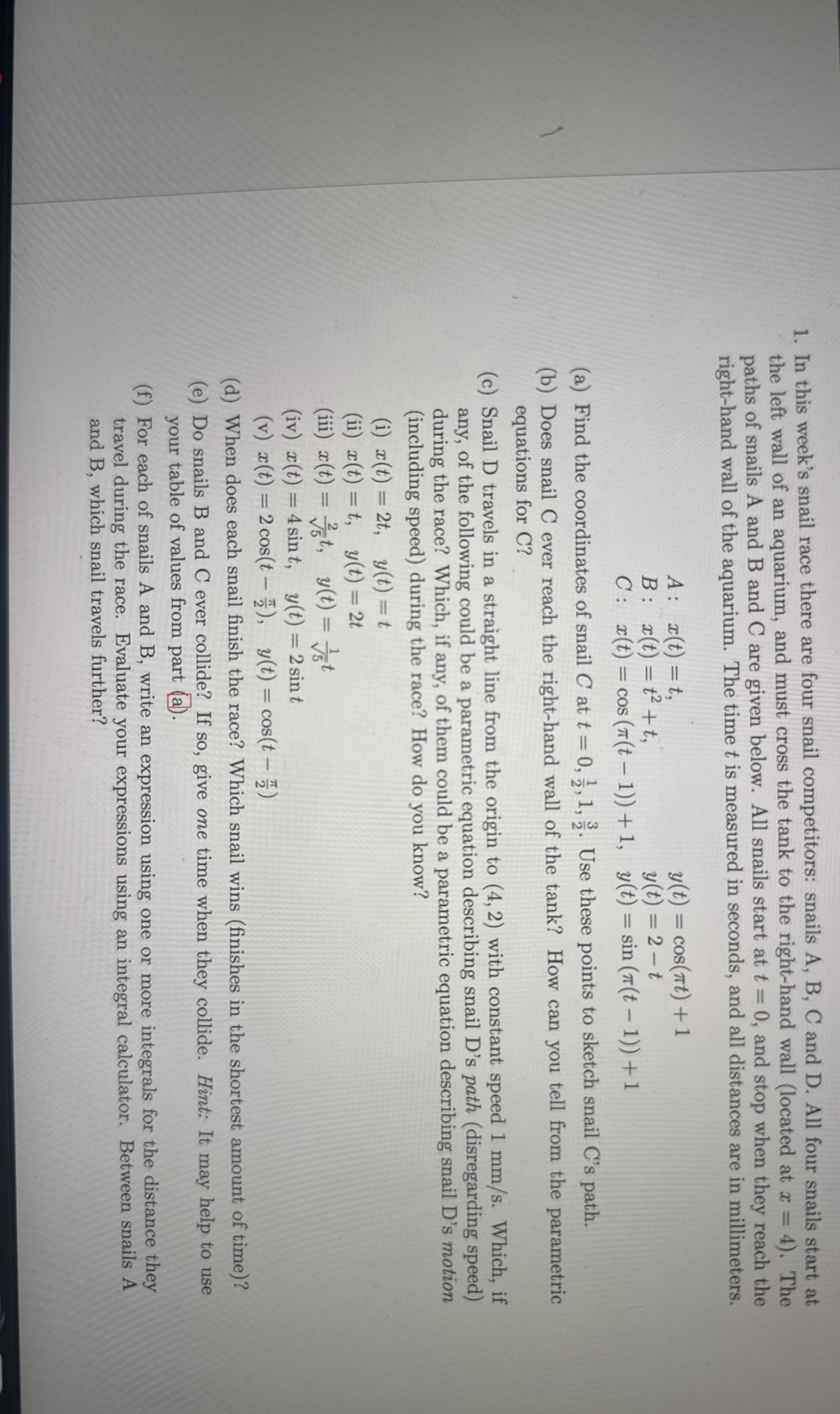 In this week's snail race there are four snail