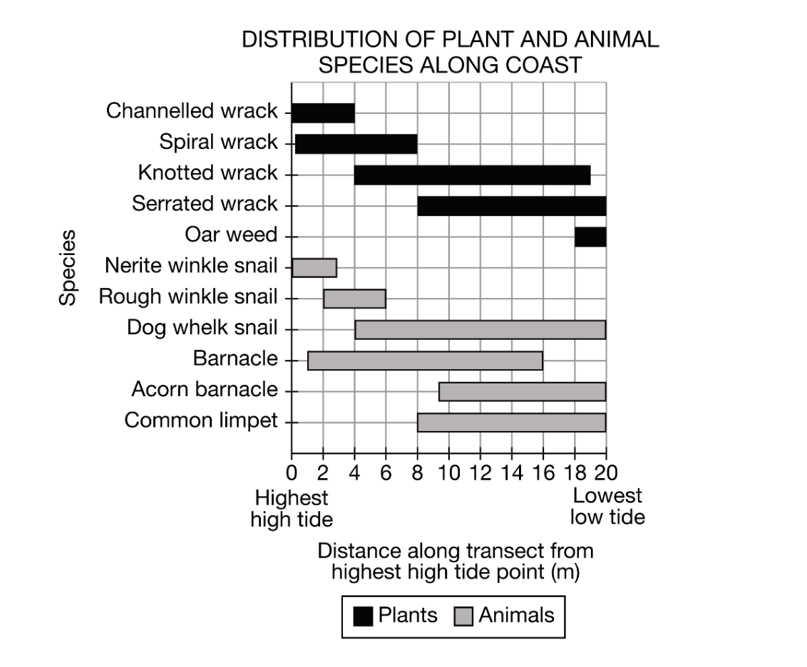DISTRIBUTION OF PLANT AND ANIMAL SPECIES ALONG