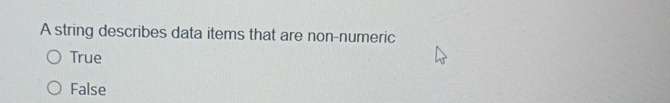 A string describes data items that are non -