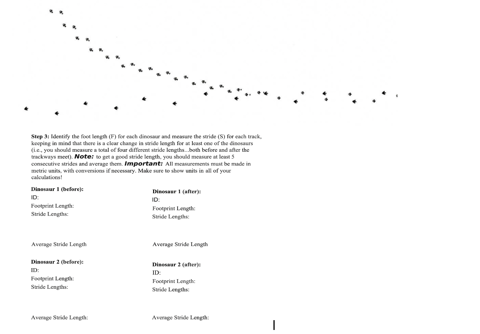 Step 3 : Identify the foot length ( F ) for each