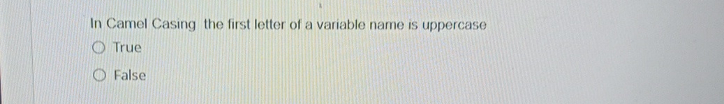 In Camel Casing the first letter of a variable