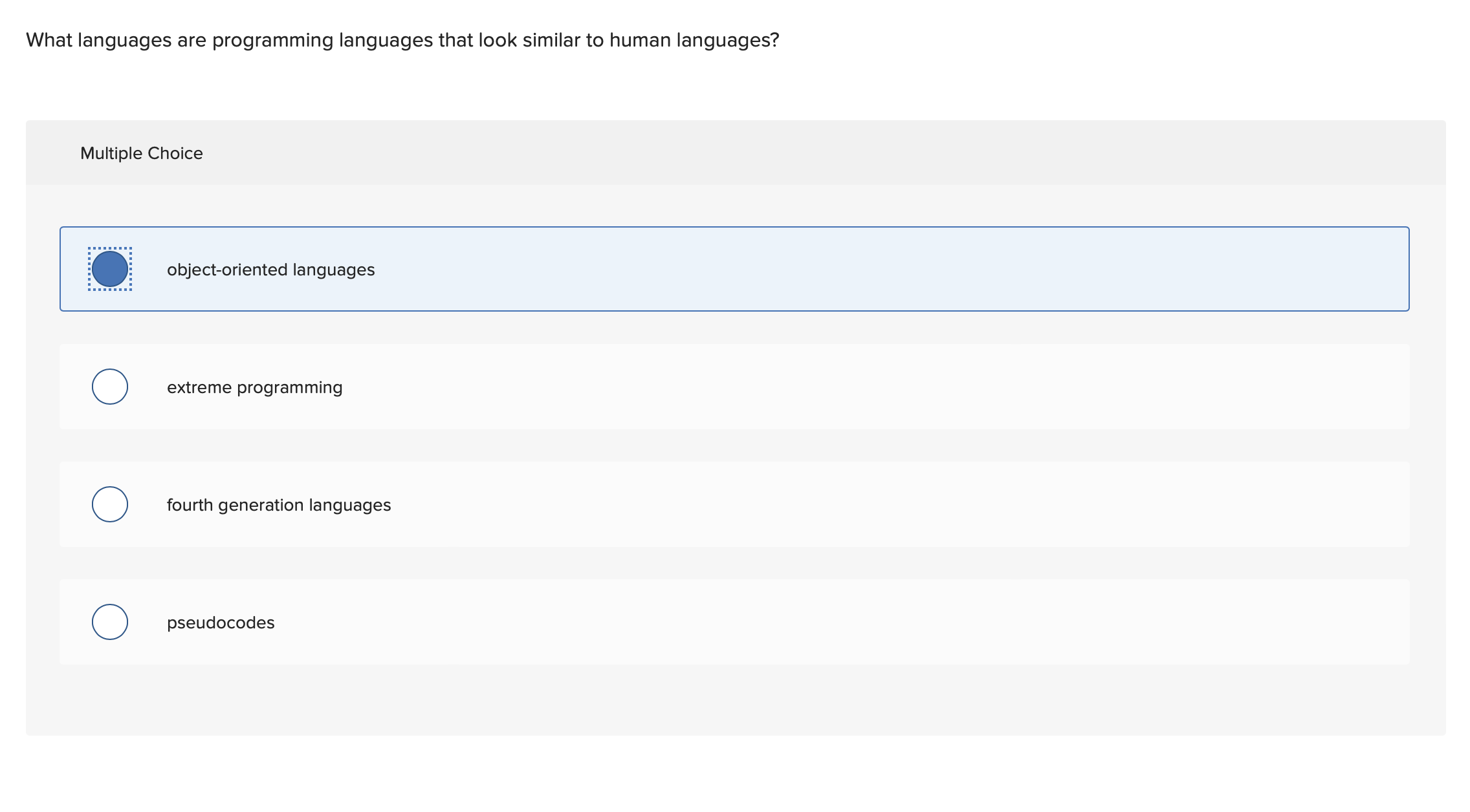 What languages are programming languages that