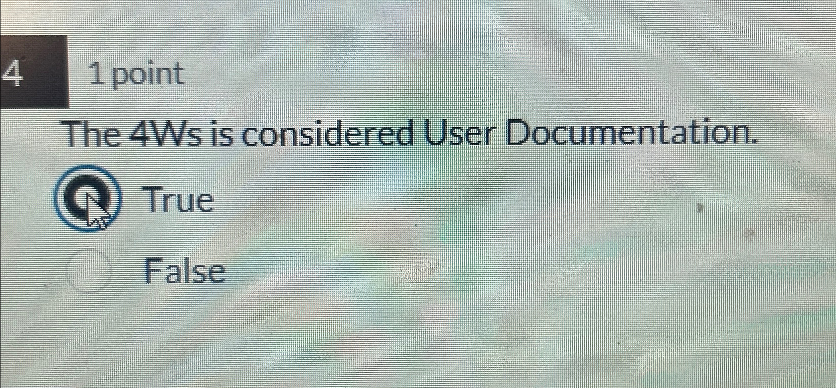 4 point The 4 W s is considered User