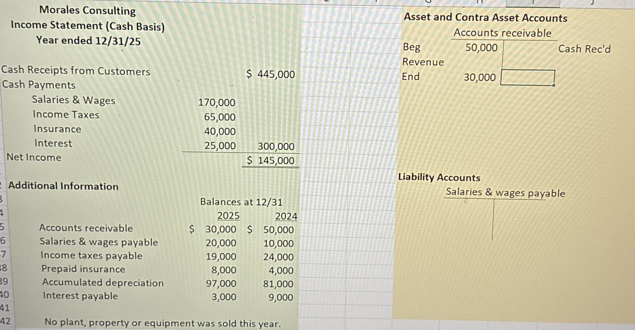 Morales Consulting Income Statement ( Cash Basis