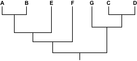 Which species shown below are most closely