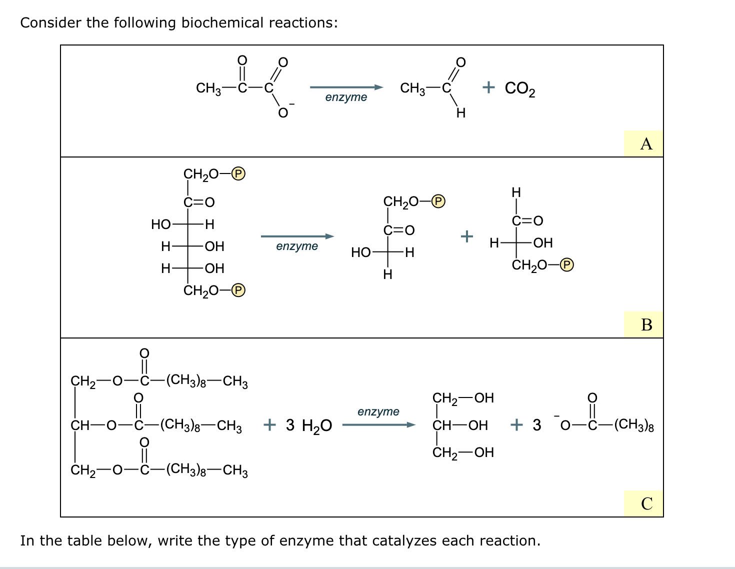 solv Consider the following biochemical