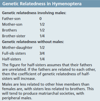 In the order Hymenoptera, haplodiploid