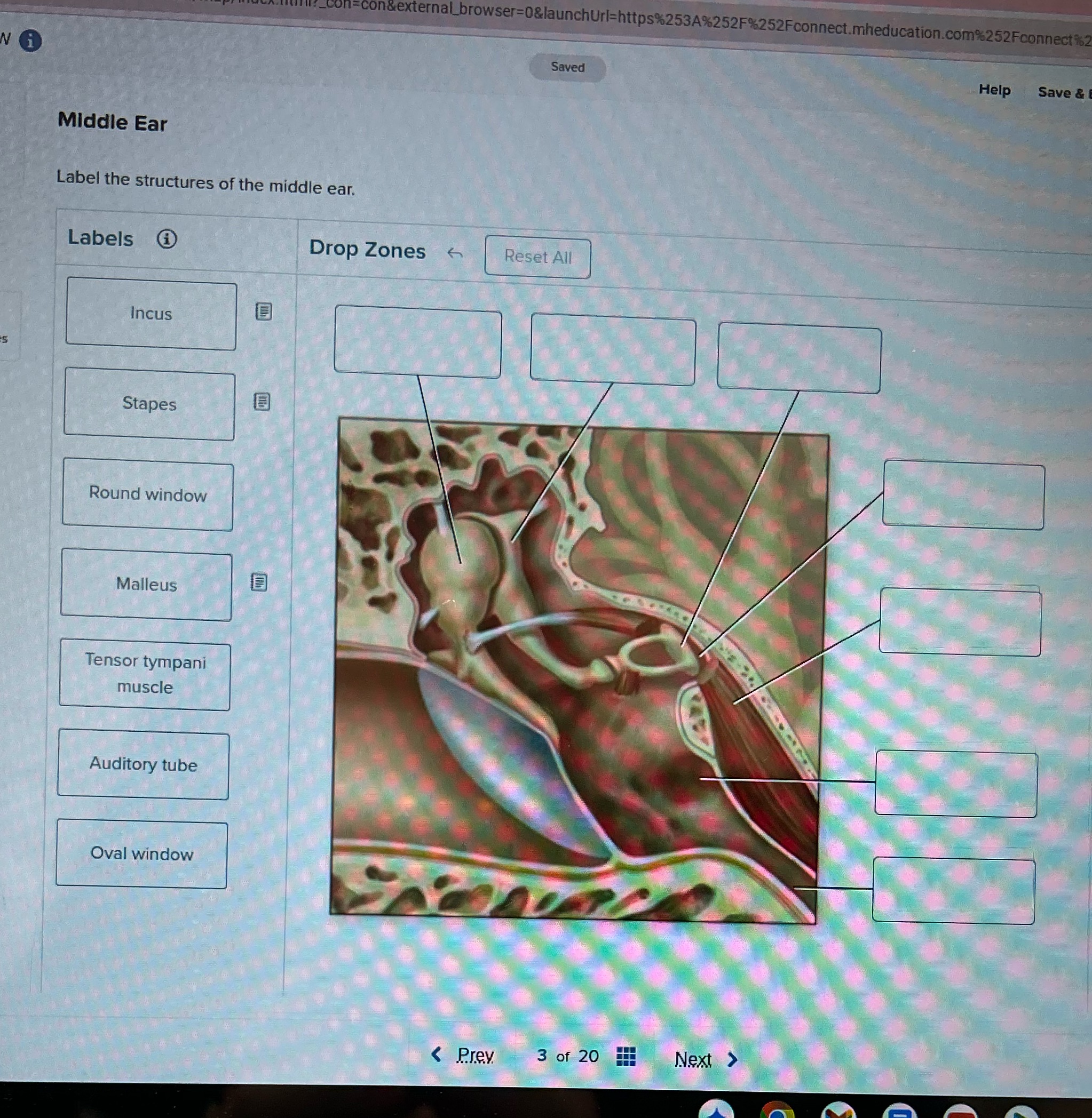 n&external_browser=0&launchUrl=https%253A%252F%252