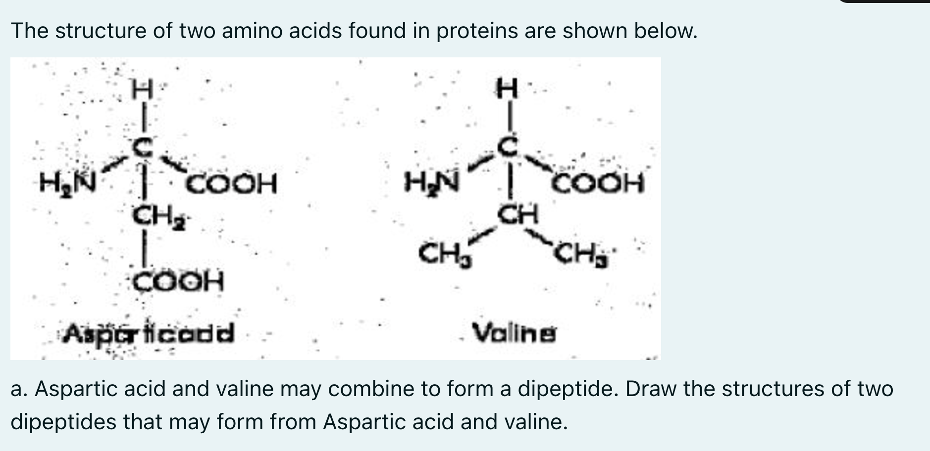 The structure of two amino acids found in