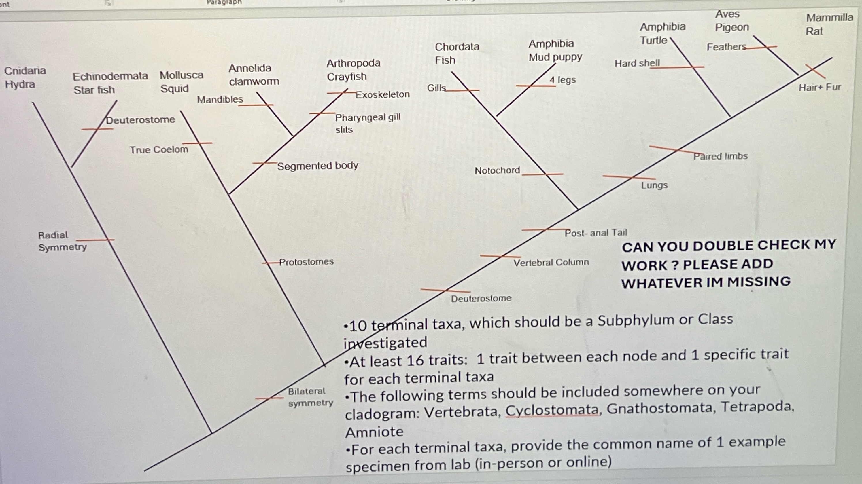 Can you revise and edit my cladogram using the