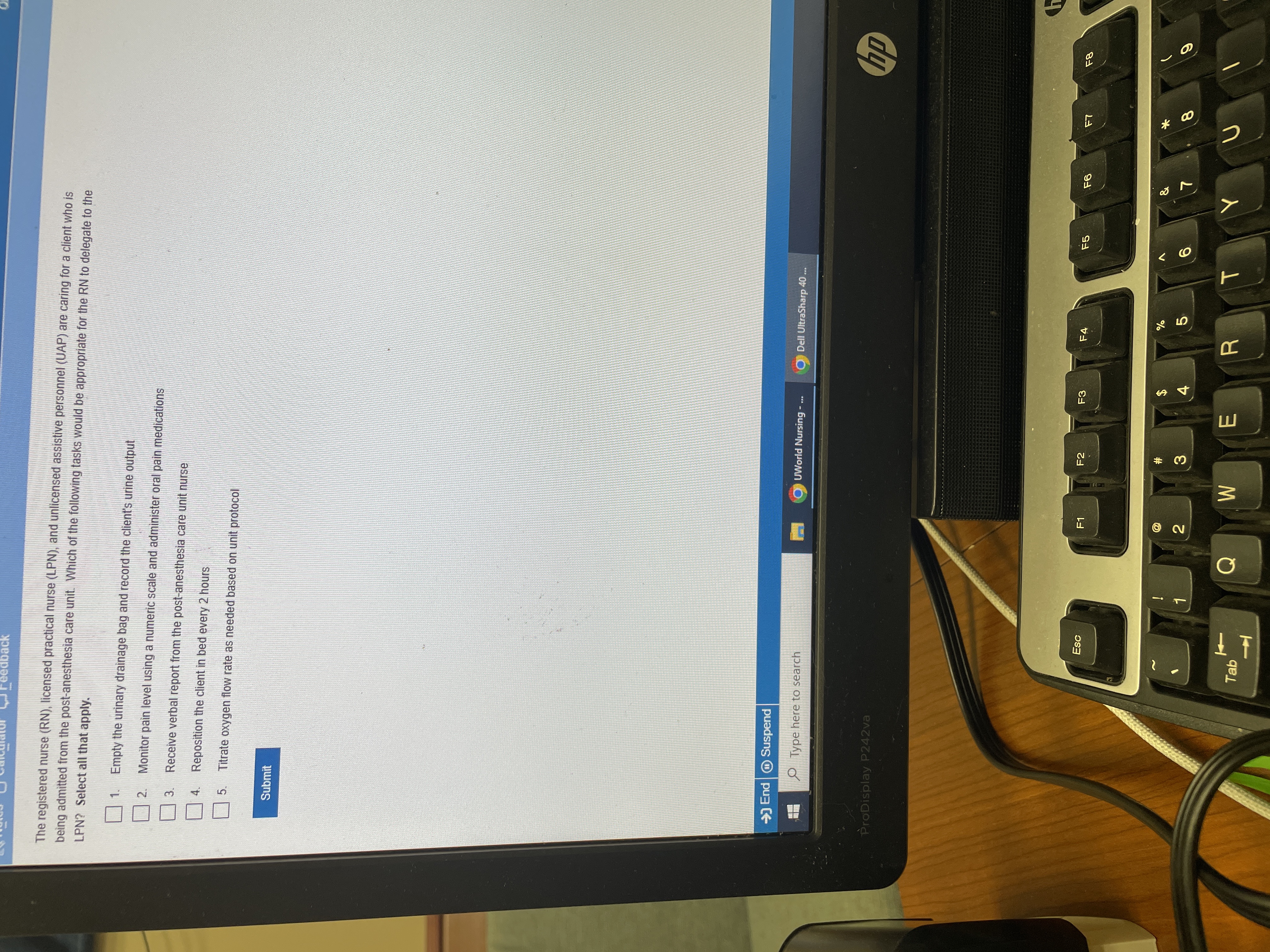 D The registered nurse (RN), licensed practical