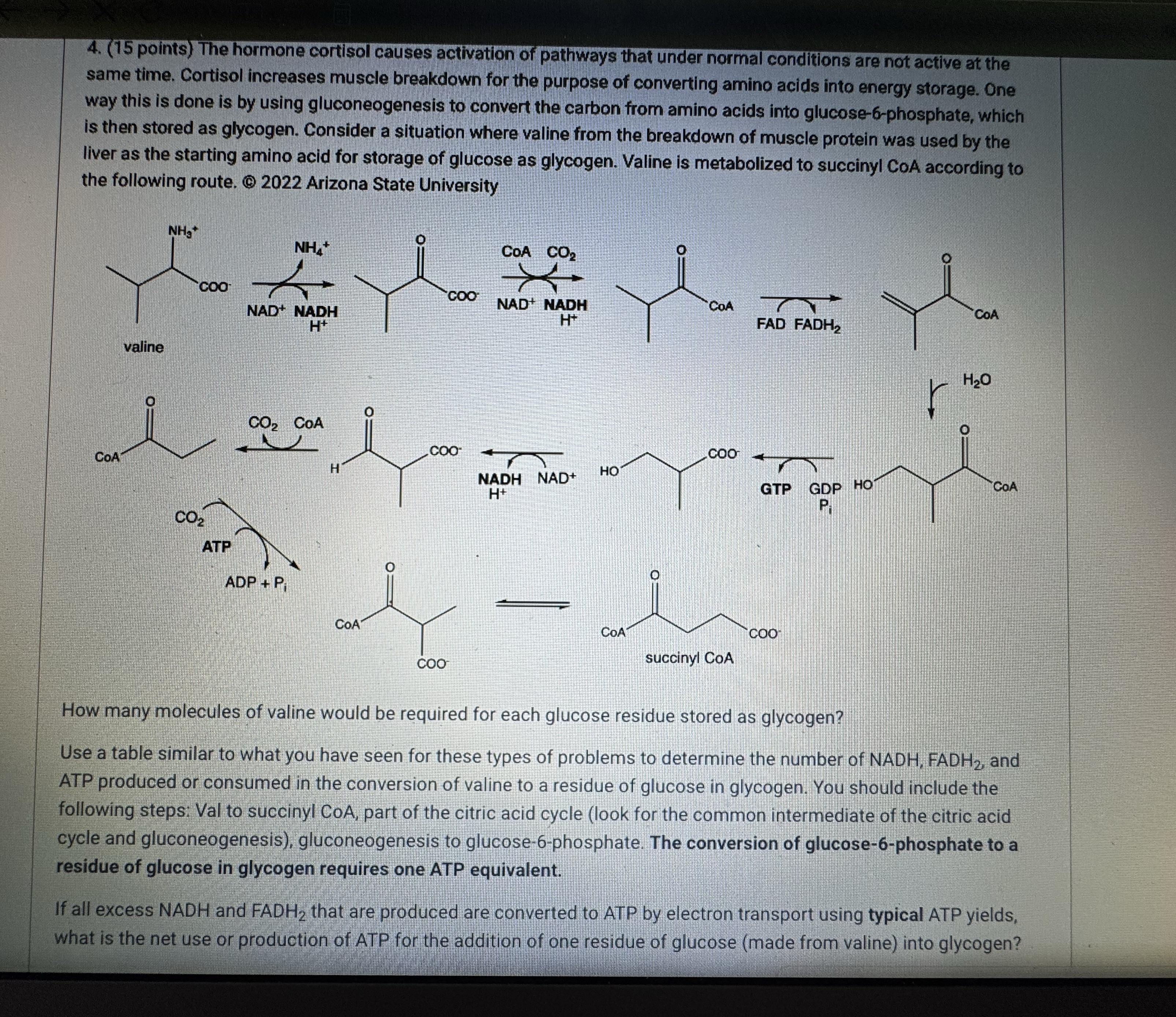 I'm in middle of an exam. I need an asap help