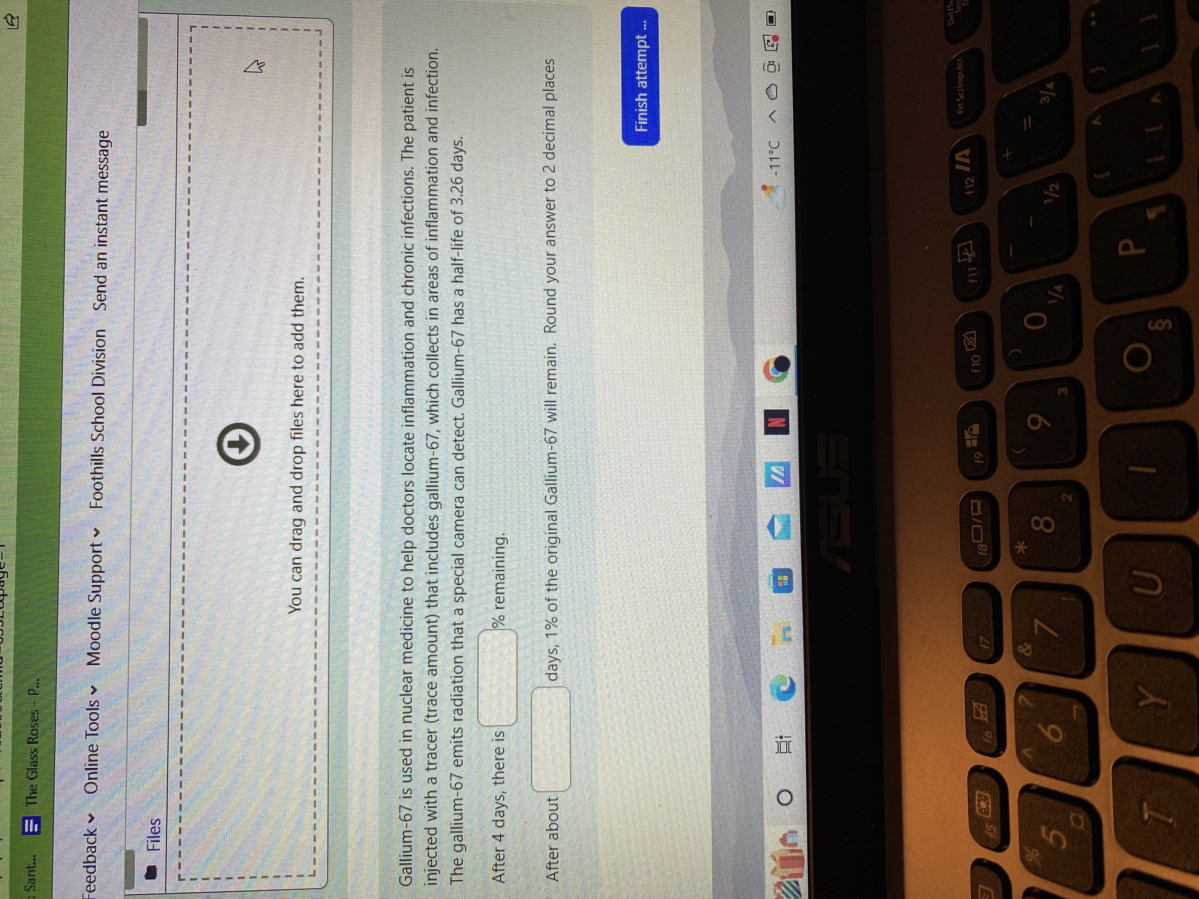 Sant.. S The Glass Roses - P. Feedback ~ Online