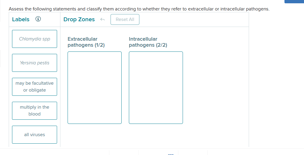 Assess the following statements and classify them